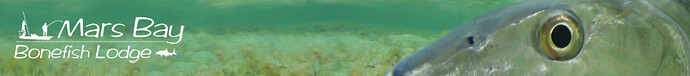 https://bahamasbonefish.com/bonefishhdr.jpg