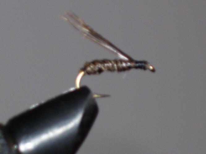 E-Z Nymph.jpg