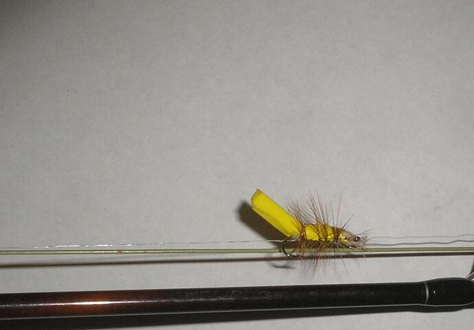 Damaged grasshopper.jpg