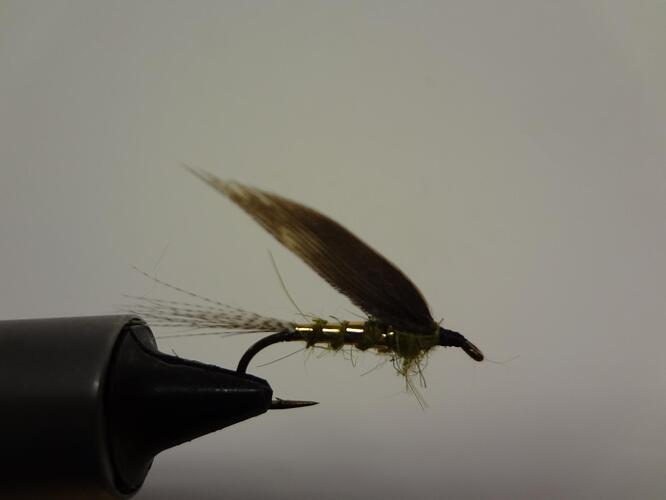 Winged Wet 001.jpg