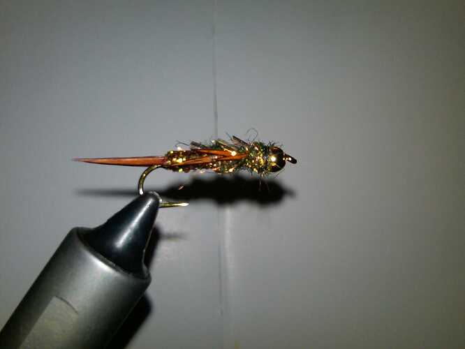 IMG00158-20101017-1850.jpg