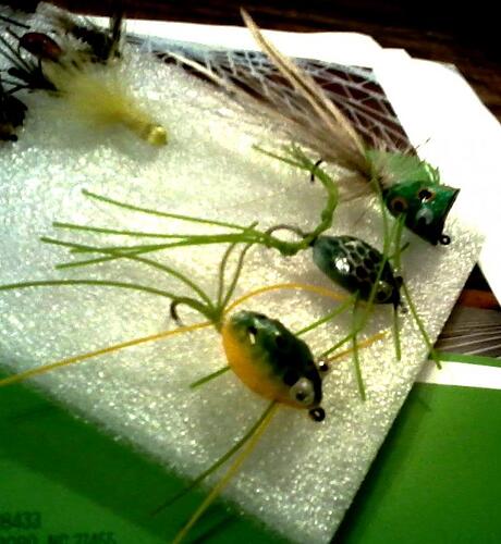 3 Frogs flies.jpg