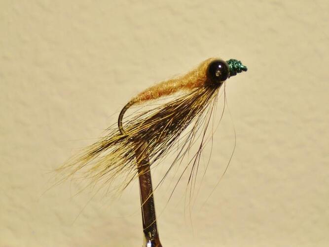 carp fly 001.jpg