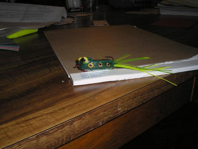 Frog side view 1.jpg