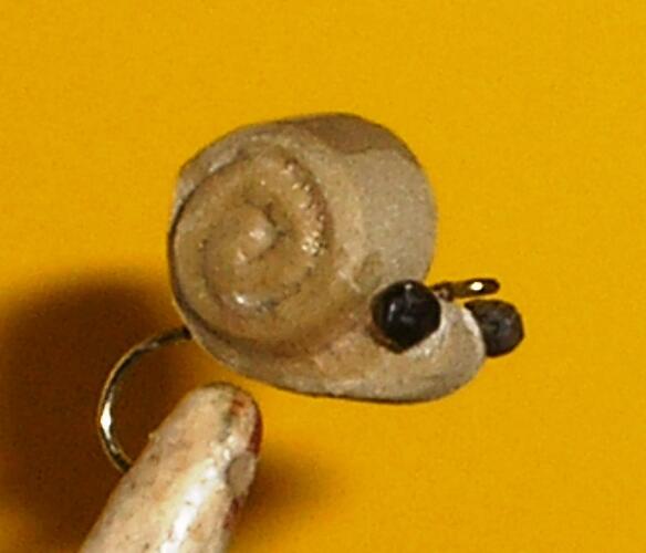 Snail 3.jpg