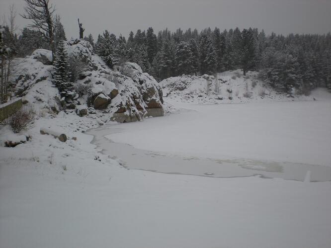 DSCN0956.jpg