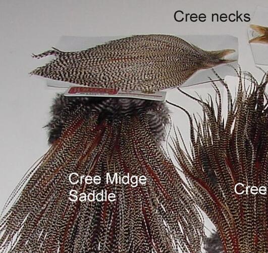necks.jpg