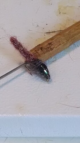 DSC_0044.JPG