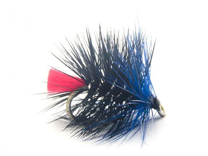 Blue Zulu - Copy.jpg