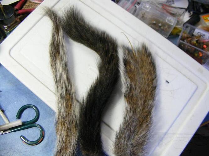 DSCF0653.jpg