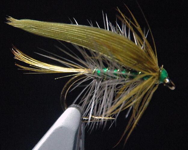 Rough Flies_0010_edited-1.jpg
