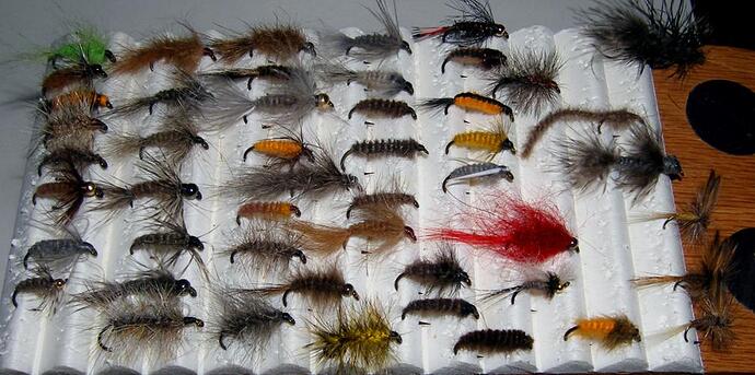 Card of non-palmered hackled flies-1200.jpg