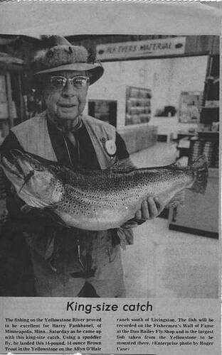 Old flies - spuddler - Deanna Lee Travis