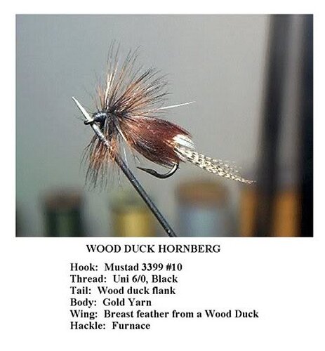 WoodDuckHornberg.jpg