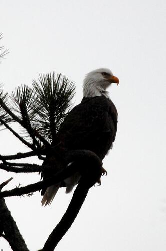 DSC_0079.jpg