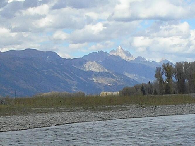 P1010021.jpg