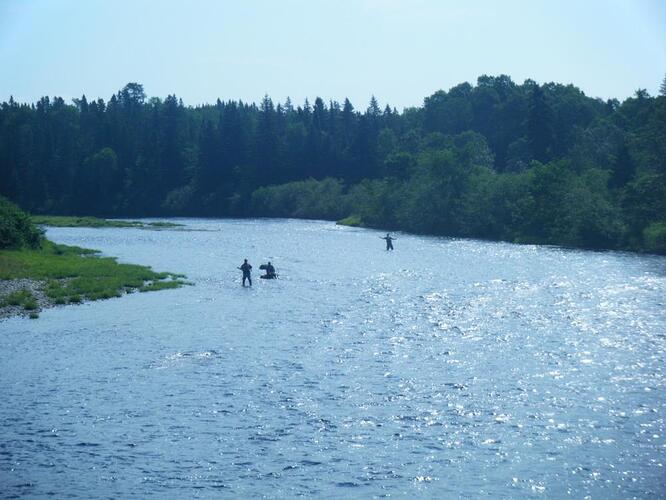Fishing in N[2].B.   July 7 to 10, 2010 023.jpg