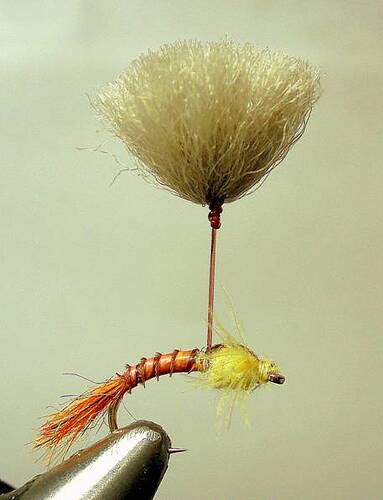 Parasol Emerger - 11.JPG