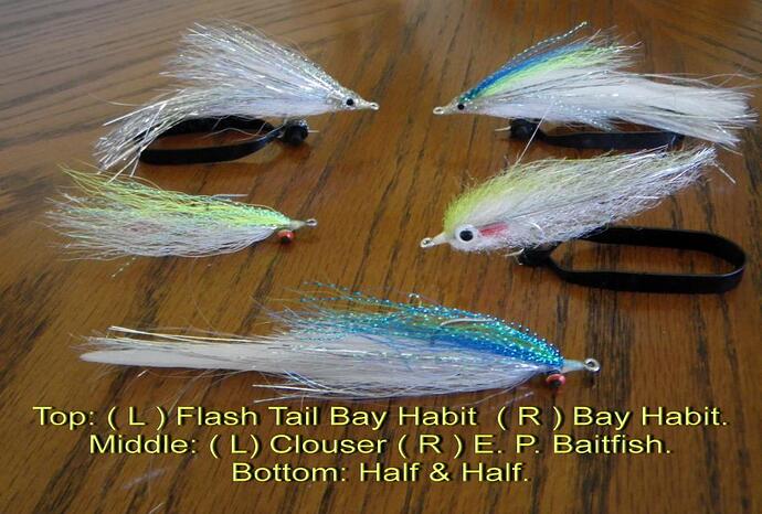 Five fly selection_resize.jpg