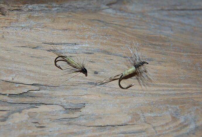 Wet Dry Hackle.jpg