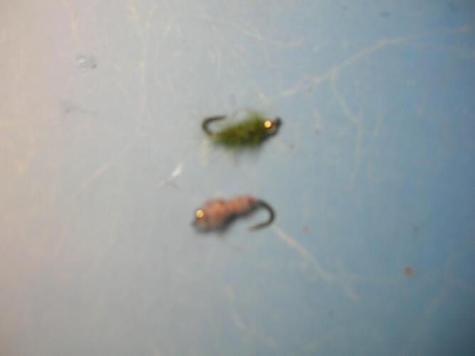 DSCN3349.jpg