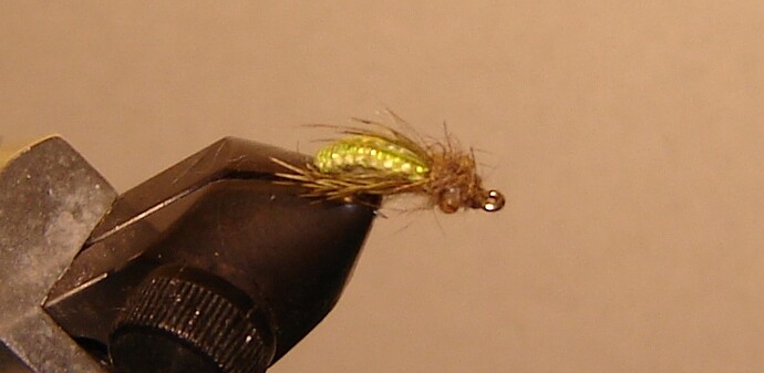 Woven Caddis Pupa18.jpg