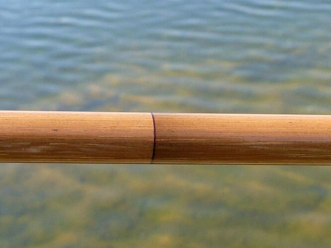 bamboo-motif.jpg