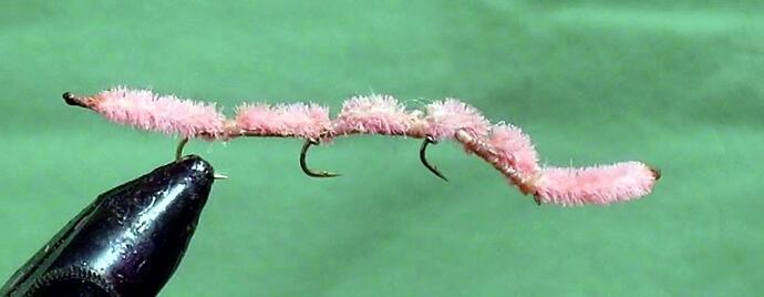 ArticulatedAngleworm.jpg