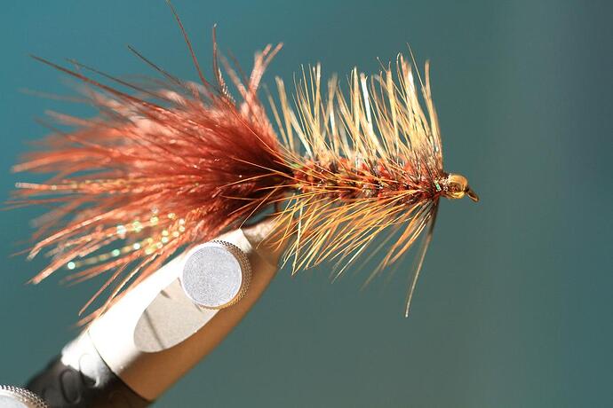 Wooly Bugger 1.jpg