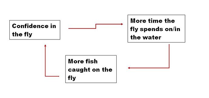 Fly decision flow chart.JPG