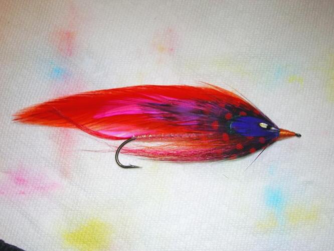 Redfish 1-resized.jpg