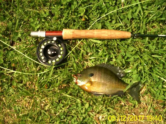 Bennett Springs trip 008.jpg