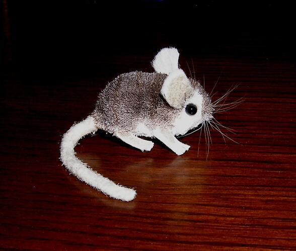 April mouse 2010.jpg