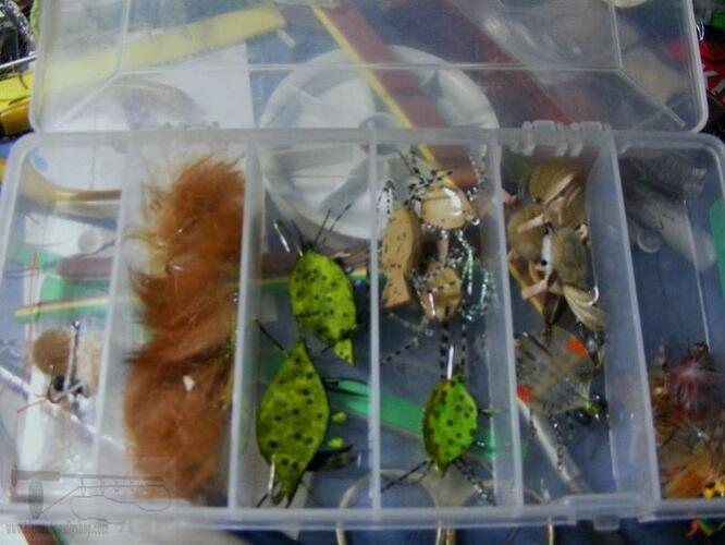 7-16-2011 049.jpg