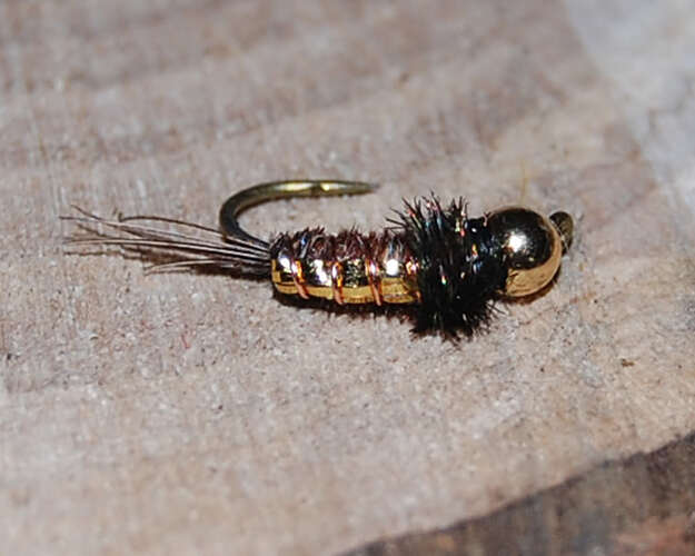 Copperhead nymph fly.jpg