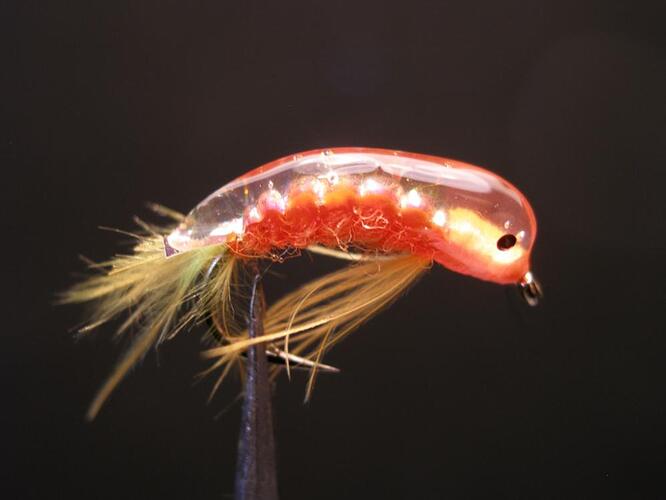 Fl. Orange scud-1000.jpg