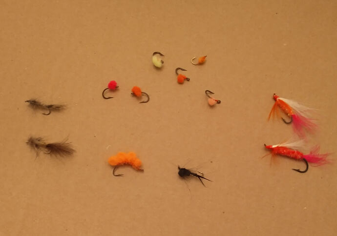 IMG_20260107_193531766_HDR