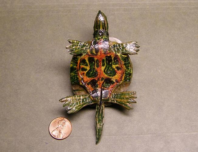 Turtle bottom 1000.jpg