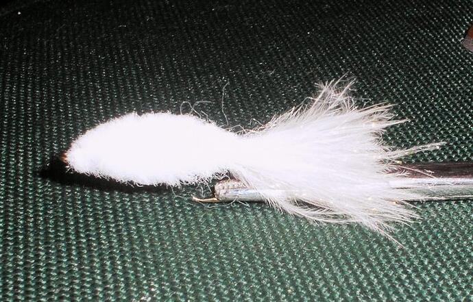 blank minnow 1.jpg
