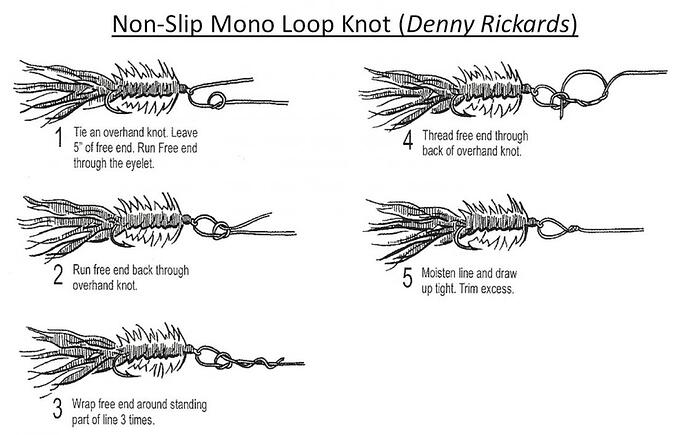 Non_Slip_Loop_Denny_Rickards.jpg