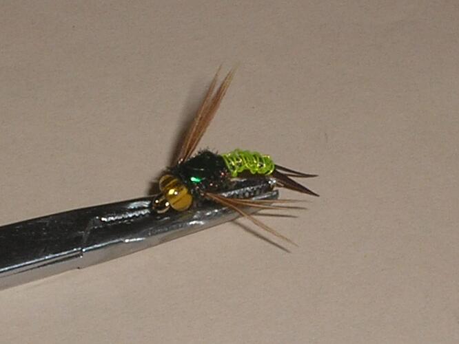 Copper Jacque Scud 1.jpg