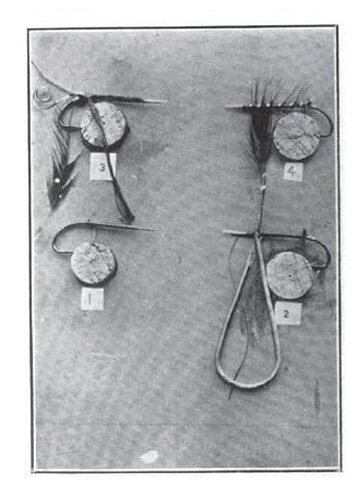 old flies Dec 28, 2009