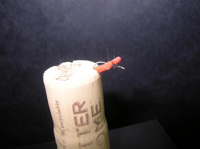 wackyworm.jpg