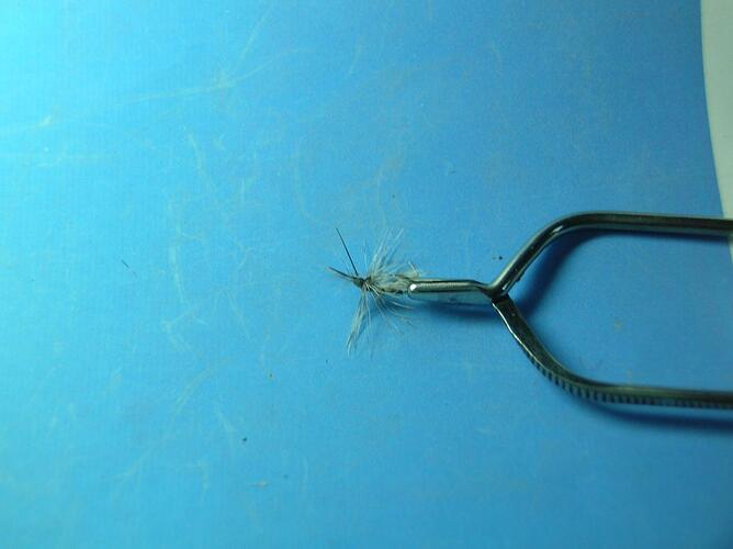mini caddis.jpg