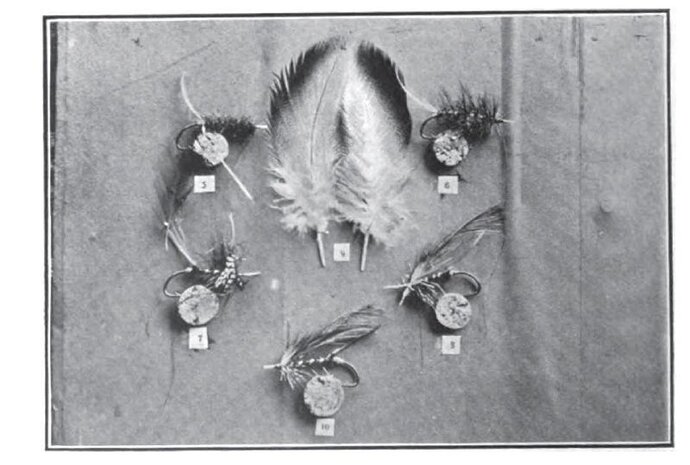 old flies Dec 28, 2009