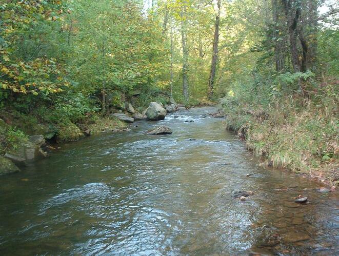 smith creek.jpg