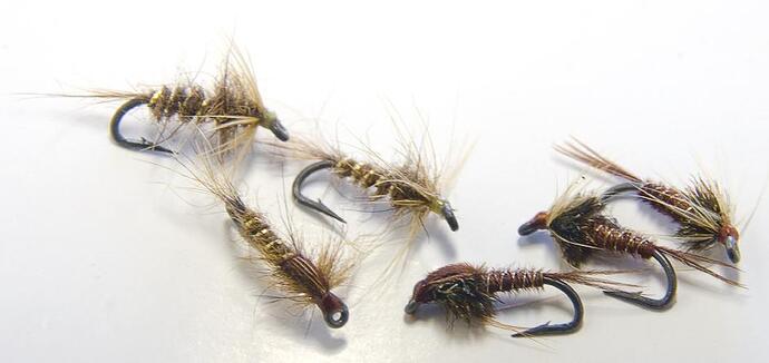 Nymphs in the round_0001.jpg