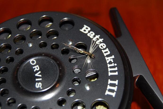 Blue Winged Olive Spinner.jpg