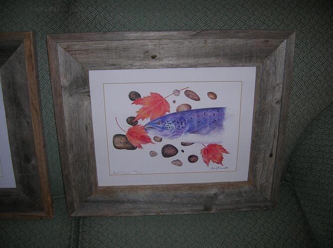 Atlantic Salmon.jpg
