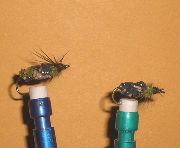 Cased caddis 2.jpg